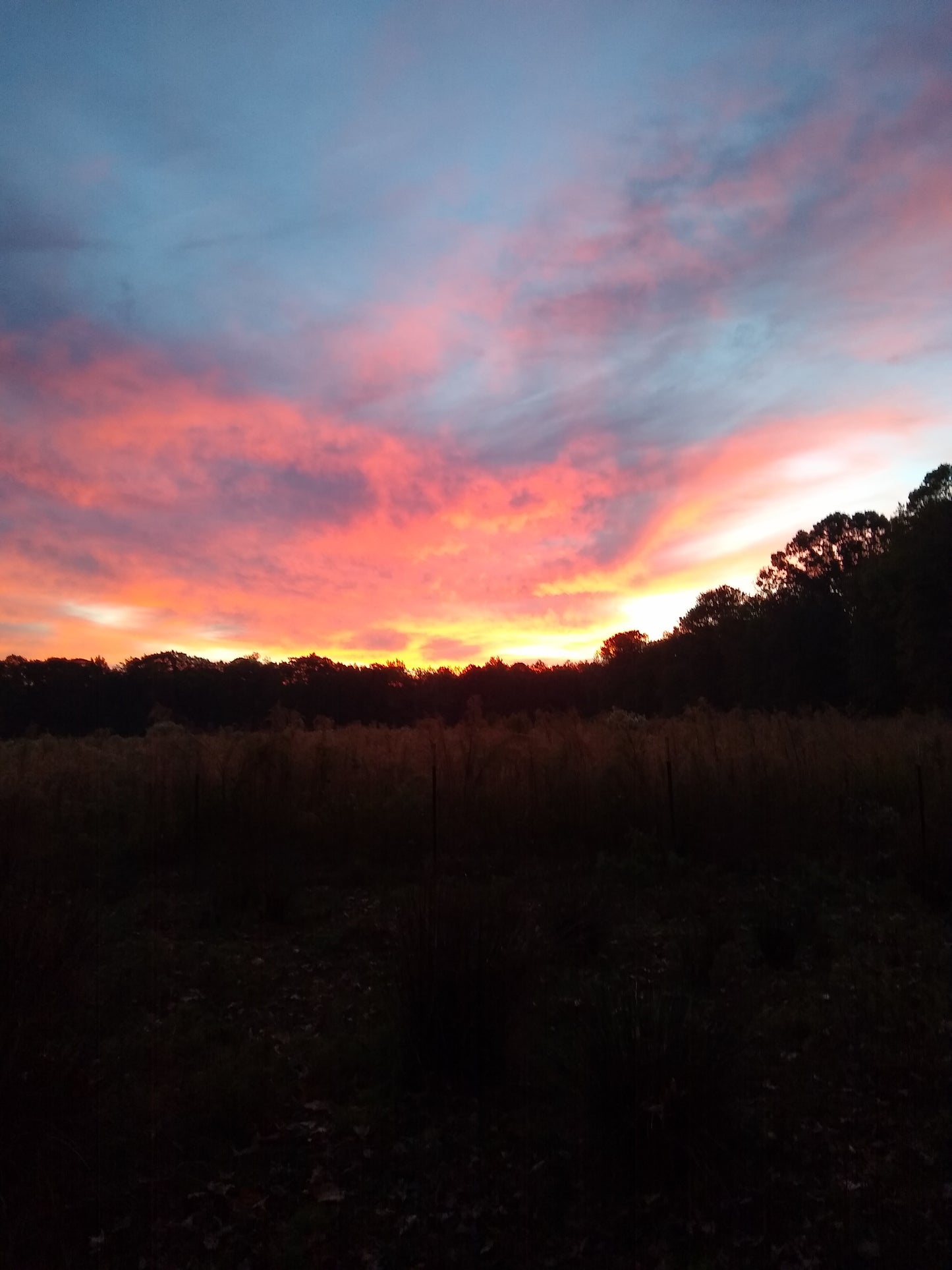 Small Engine Repair Class